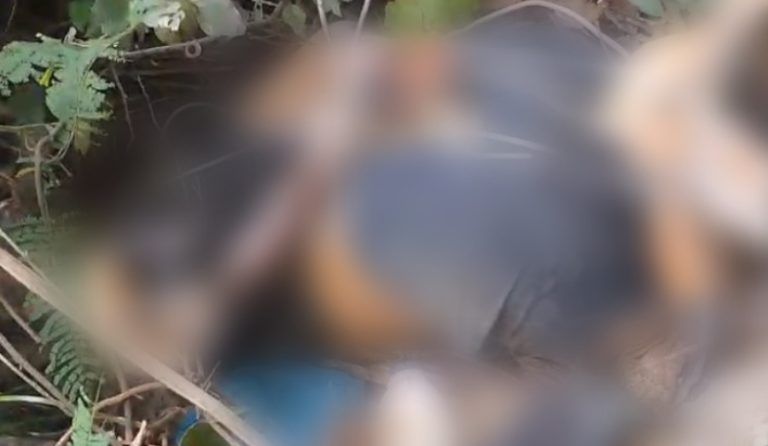 Corpo é encontrado marcas de tortura em ramal de Manaus Fatos